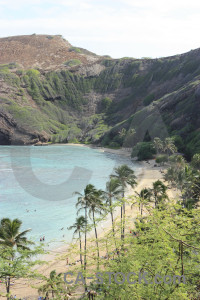 Green coast white landscape.