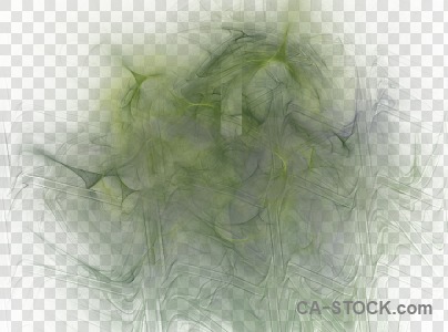 Green fractal abstract transparent.