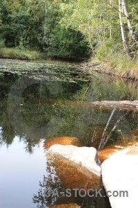 Green lake water white.