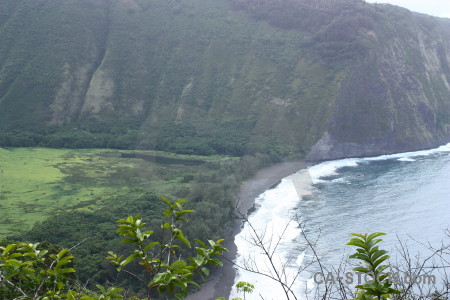 Green landscape coast.