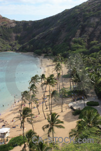 Green landscape coast.