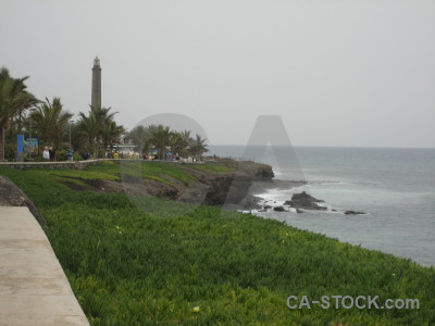 Green landscape gray coast.