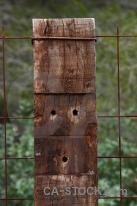 Green post wood texture.