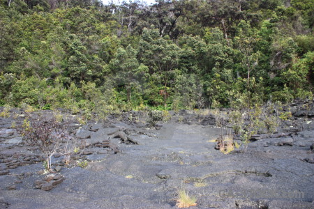 Green volcanic crater lava.