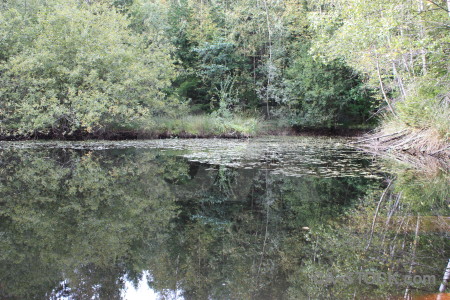 Green water lake.