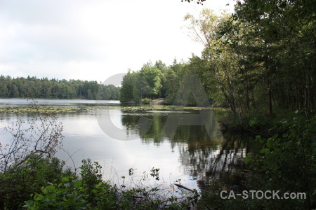 Green water lake white.