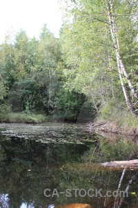 Green water lake white.