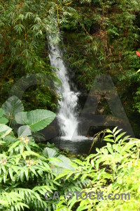 Green water waterfall.