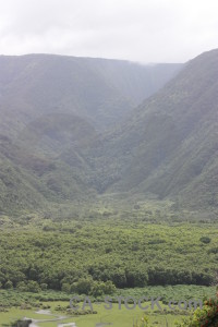 Green white landscape mountain.