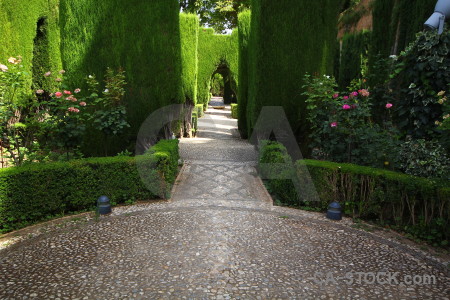 Hedge alhambra palace path la de granada.