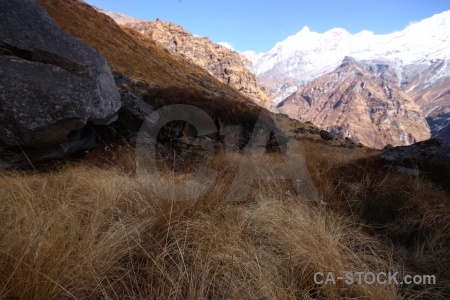 Himalayan south asia snow valley modi khola.