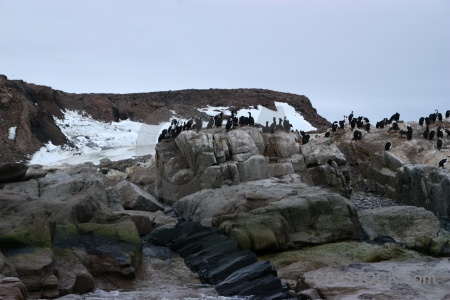 Horseshoe island cloud antarctica cruise penguin mountain.