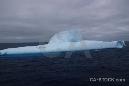 Ice penguin water iceberg animal.