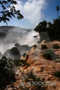 Iguassu falls tree iguazu river argentina spray.