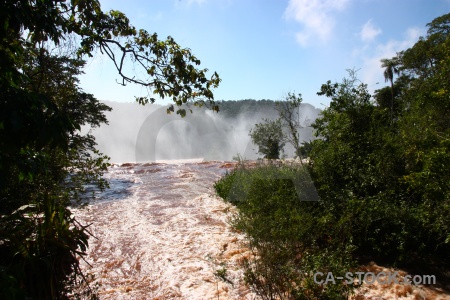 Iguazu river argentina water spray tree.