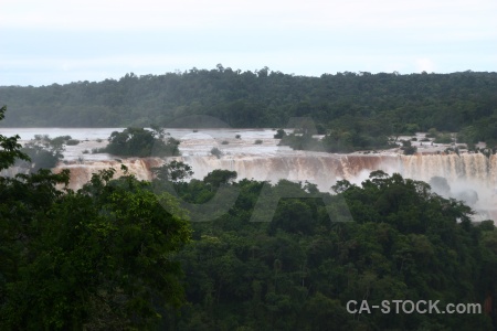 Iguazu river tree iguacu falls water sky.
