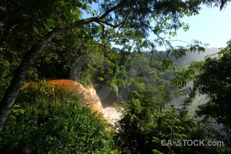Iguazu river unesco south america waterfall tree.