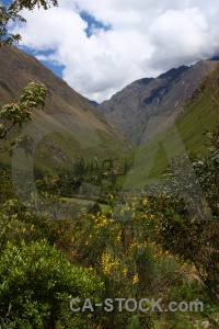Inca trail cloud sky andes tree.