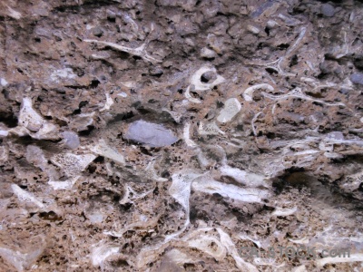 Javea europe cueva de las calaveras rock texture.