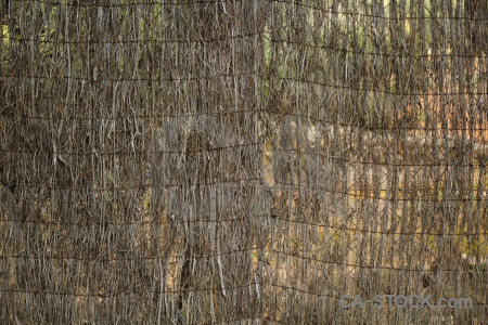 Javea fence bamboo spain europe.
