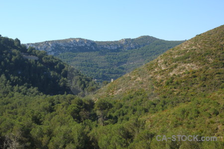 Javea spain green tree sky.