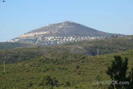 Javea tree green sky europe.