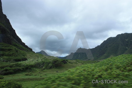 Landscape mountain green.