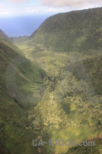 Landscape mountain green.