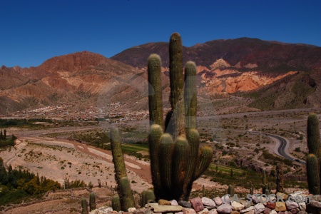 Landscape rock tilcara mountain cactus.