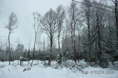 Landscape snow white winter.