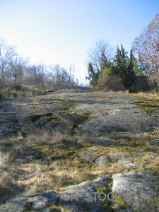 Landscape white coast.