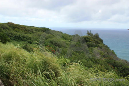 Landscape white coast green.