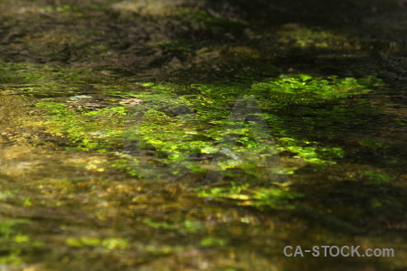 Les fonts de lalgar water green algar spain.