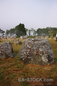 Megalithic urn stone phonsavan tree.