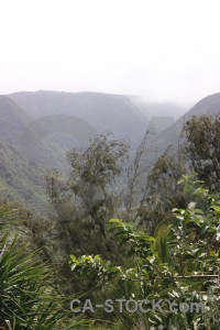 Mountain green white landscape.