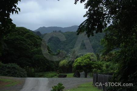 Mountain landscape black green.