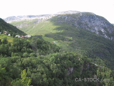 Mountain white green.