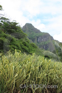 Mountain white green landscape.