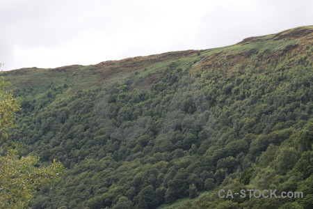 Mountain white landscape green.