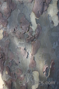 Nature gray texture.