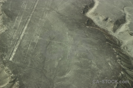 Nazca lines south america flying bird geoglyph.
