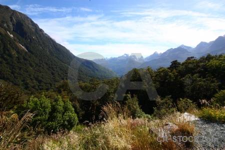 New zealand mountain sky south island tree.