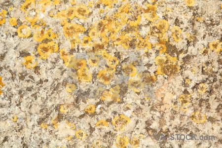 Orange stone texture rock yellow.