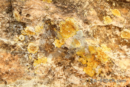 Orange texture brown stone rock.