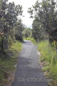Path green.