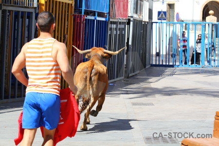 Person horn bull running red spain.