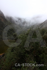 Peru fog inca tree cloud.