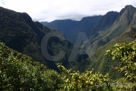 Peru south america inca trail cloud tree.