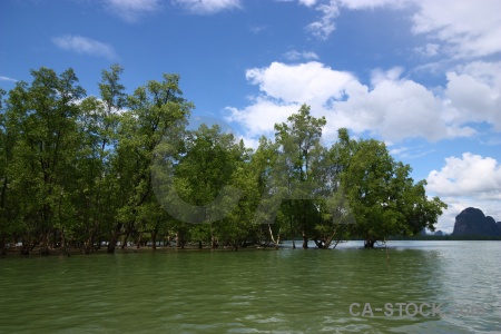 Phang nga bay cloud thailand tree sky.