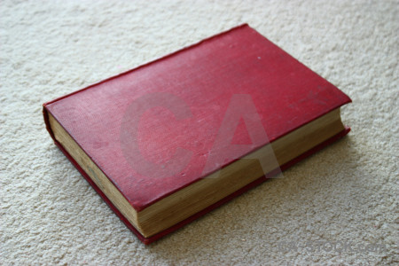 Red pink book object.